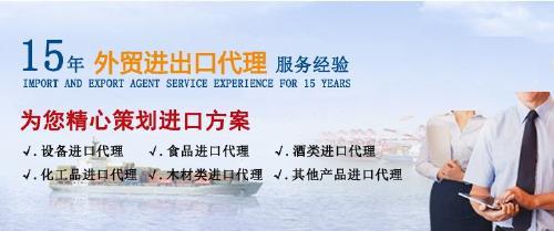 上海乳清蛋白進口報關如何付匯 電匯代理操作